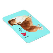 Ich Liebe meinen Sheltie Magnet (Rechte Seite)