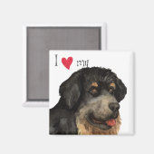 Ich Liebe meines tibetischen Mastiffs Magnet (Vorderseite/Rückseite)