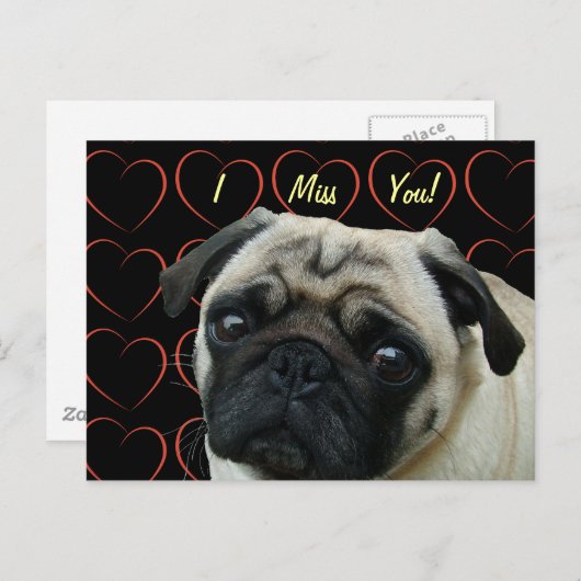 Ich Liebe Möpsen mit Herz Postkarte (Vorne/Hinten)