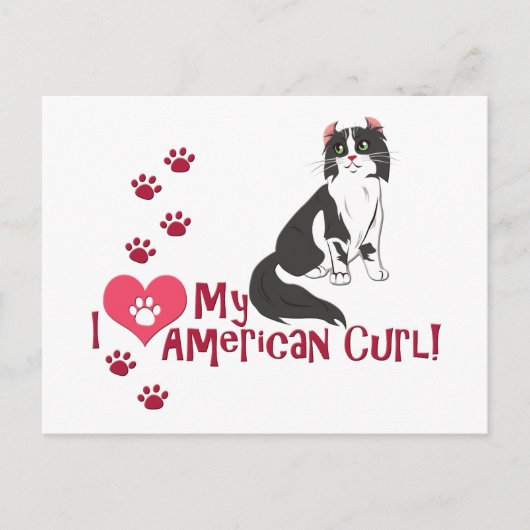 Ich Liebe My American Curl! Postkarte (Vorderseite)