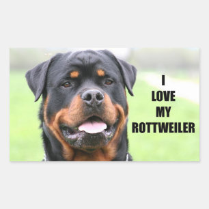 Ich Liebe My Rottweiler Rechteckiger Aufkleber