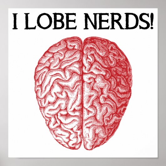 Ich liebe Nerds Liebe Funny Poster Sign (Vorne)