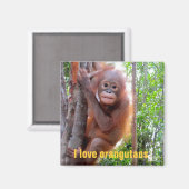 Ich Liebe Orangutans mit Baby Uttuh Magnet (Vorderseite/Rückseite)