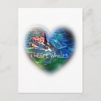Ich Liebe Orca Wale in Herzgeschenke Postkarte