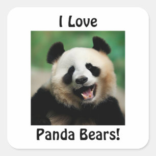 Ich liebe Pandas Quadratischer Aufkleber