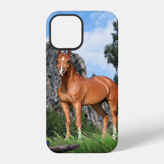 Ich liebe Pferde iPhone Hülle (Rückseite)