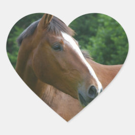 Ich Liebe Pferde Sticker Pferdegesicht in Heart St