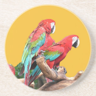 Ich liebe schöne Vögel! Rote und blaue Papageien. Getränkeuntersetzer