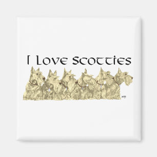 Ich liebe Scotties - Wheaten Scottie Line-up Magnet