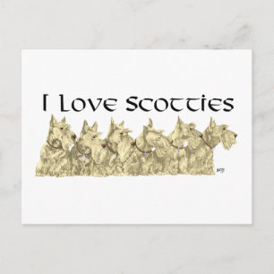 Ich liebe Scotties - Wheaten Scottie Line-up Postkarte