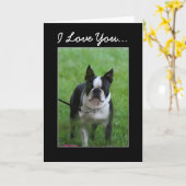 Ich Liebe Sie Boston Terrier Grußkarte Karte (Gelbe Blume)