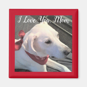 Ich Liebe Sie Hund Mama weiß Labrador Retriever M Magnet