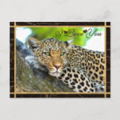 Ich Liebe Sie Leopard Fotografie Postkarte (Vorderseite)