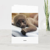 "Ich Liebe Sie mehr als Bananen!" Die Karte des (Rückseite)