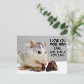 Ich Liebe Sie mehr als Cake Pet Rat Postkarte (Stehend Vorderseite)