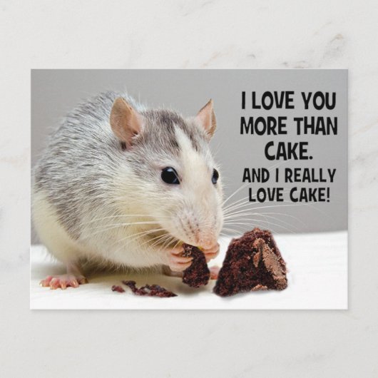 Ich Liebe Sie mehr als Cake Pet Rat Postkarte (Vorderseite)