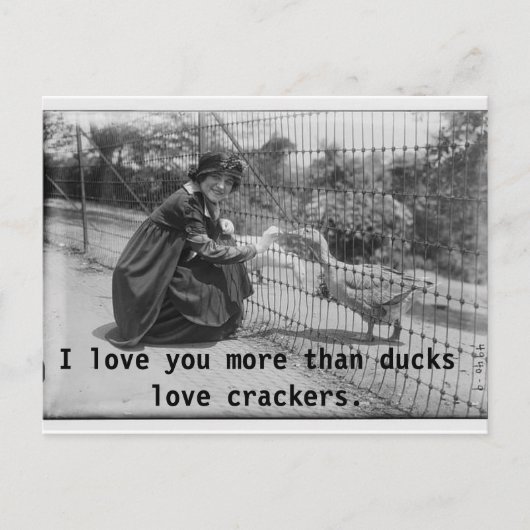 Ich Liebe Sie mehr Postkarte (Vorderseite)