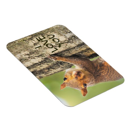 Ich Liebe Sie Niedliche Eichhörnchen Kletterbaum F Magnet (Rechte Seite)