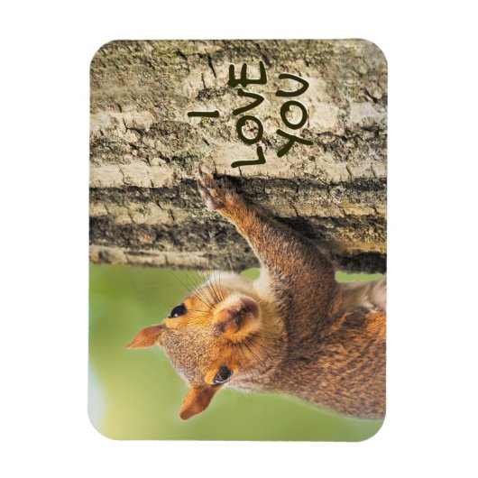 Ich Liebe Sie Niedliche Eichhörnchen Kletterbaum F Magnet (Vertikal)