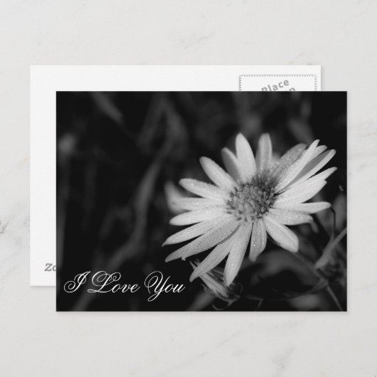 Ich Liebe Sie Postkarte (Vorne/Hinten)