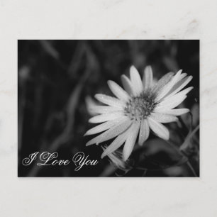 Ich Liebe Sie Postkarte