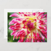 Ich Liebe Sie Postkarte (Vorne/Hinten)