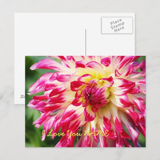 Ich Liebe Sie Postkarte (Vorne/Hinten)