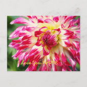 Ich Liebe Sie Postkarte (Vorderseite)