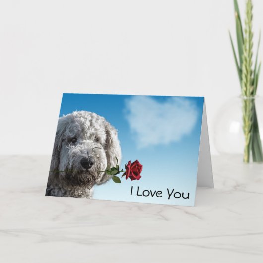 Ich Liebe Sie Rote Rose Karte (Vorderseite)