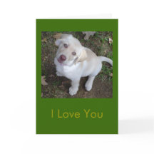 Ich Liebe Sie - Sie sind mein Lieblingsmenschlich