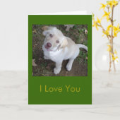 Ich Liebe Sie - Sie sind mein Lieblingsmenschlich Karte (Gelbe Blume)