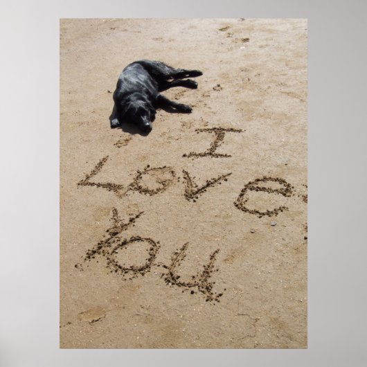 Ich Liebe Sie Strand-und Hundeposter riesig Poster (Vorne)