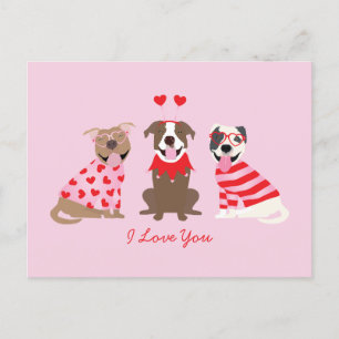 Ich Liebe Sie Valentinin American Pit Bull Terrier Postkarte