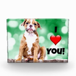 Ich Liebe Sie, Welpe Foto, Akryllische Foto Block