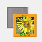 Ich Liebe, Sonnenblumen! Magnet (Vorderseite/Rückseite)