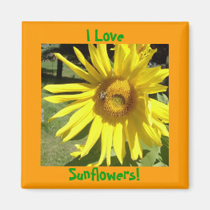 Ich Liebe, Sonnenblumen! Magnet