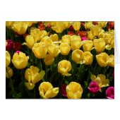 Ich Liebe Tulips! (Vorderseite (Horizontal))
