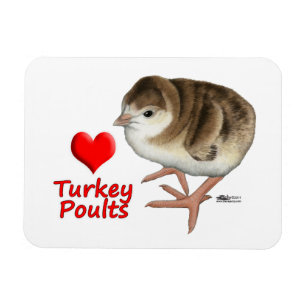Ich Liebe Türkei Poults! Magnet