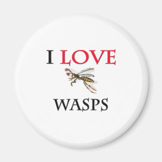 Ich Liebe Wasch Magnet