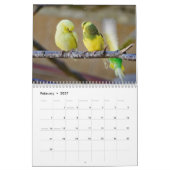 Ich liebe Wellensittiche - Schnappschüsse der klei Kalender (Feb 2027)