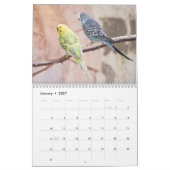 Ich liebe Wellensittiche - Schnappschüsse der klei Kalender (Jan 2027)