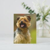 Ich Liebe Yorkies! Postkarte (Stehend Vorderseite)