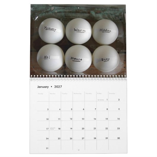 ich liegend in den Gänseblümchen, 2011 Kalender (Jan 2027)