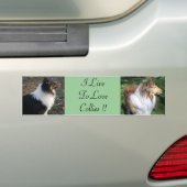 Ich LiveTo LoveCollies !! Autoaufkleber (Auf Auto)
