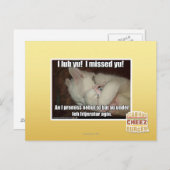 Ich lub dich ein! Ich habe dich vermisst! Postkarte (Vorne/Hinten)