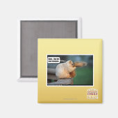 Ich luv neues Shampoo Magnet (Vorderseite/Rückseite)