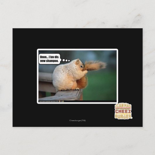 Ich luv neues Shampoo Postkarte (Vorderseite)