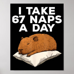 Ich mache 67 Nickerchen am Tag Lustige Capybara Si Poster