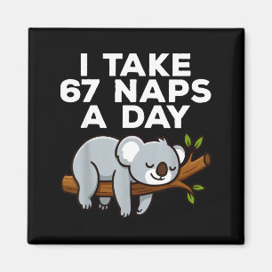 Ich mache 67 Nickerchen am Tag Lustiger Koala Sech Magnet