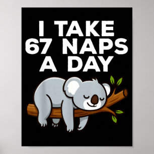 Ich mache 67 Nickerchen am Tag Lustiger Koala Sech Poster